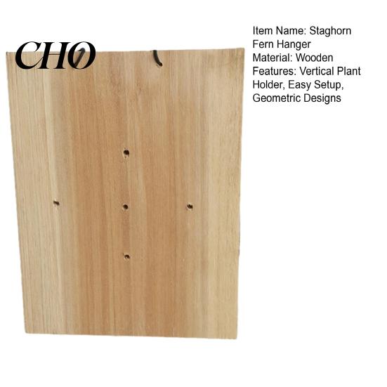 Indoor Fern Hanger Staghorn Board, Mounting Board with Pre-Drilled Holes, Geometric Designs, Reusable Plant Hanging Vertical Holder for Home