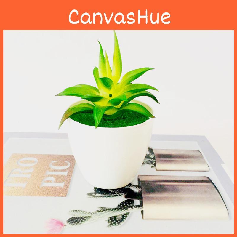 Succulent Faux Pvc Plant With Creative Design For Living Room And Projects Diy