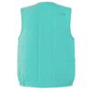The North Face Meadow Warm Cold Geyser Size L Vest, Unisex, Padded, Warm, Weather, Aqua,