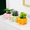 Cute Elephant Flower Pot Succulent Pot Ceramic Planter Home Decor Desktop Ornament Bonsai Plant Pot Garden Decoration