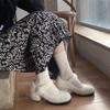 2025 New Thick Heel Fluffy Shoes Women Wear Versatile Fairy Style Mary Jane High Heels Winter Velvet Single Shoes