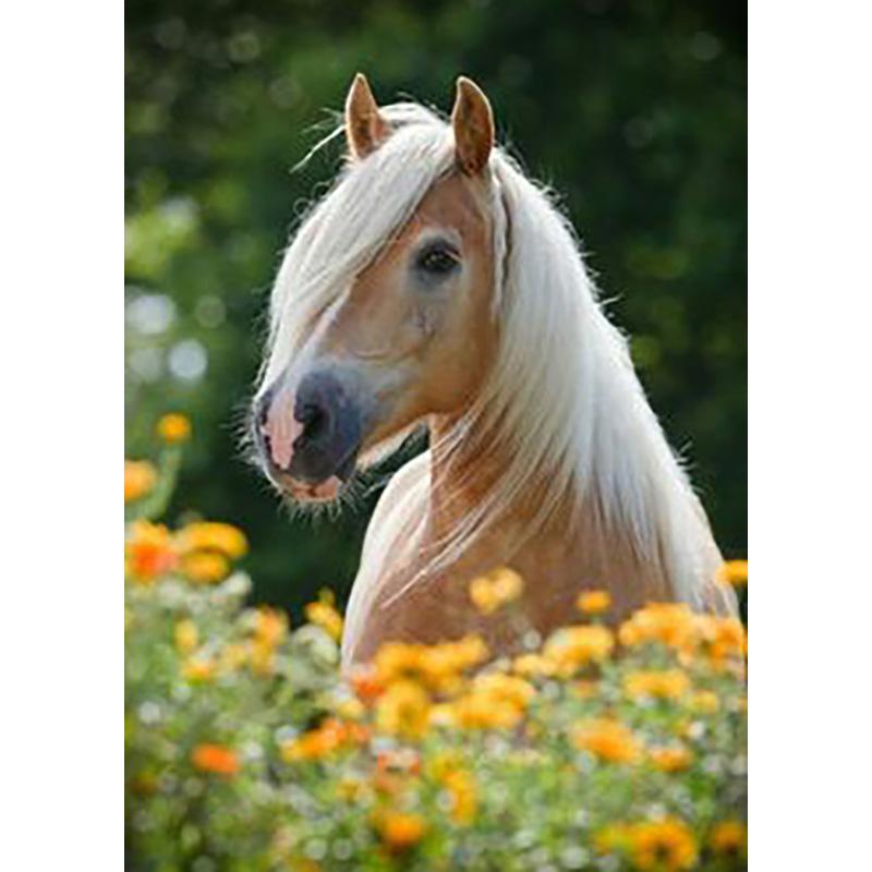 DIY Лошадь 5d алмазная живопись полная круглая дрель горный хрусталь животное Алмазная вышивка наборы крестиков настенное искусство домашний декор подарок