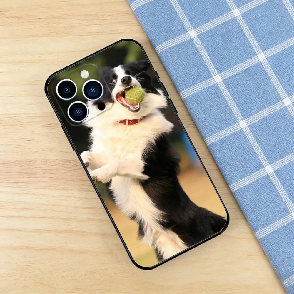 Border Collie Case For iPhone 17 16 15 14 13 12 11 Pro Plus Air Max Mini E Soft Silicone Cover