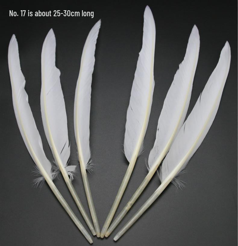 White Feathers for DIY Handmade Clothing & Jewelry Accessories