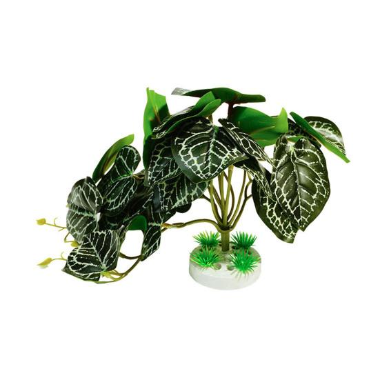 Террариум для рептилий Искусственные растения Дерево для ящерицы Аксессуар для террариума Животное Лягушка Черепаха Декорация Хамелеон Платформа для принятия солнечных ванн