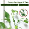 10-100Pcs Plant Climbing Wall Self-Adhesive Fixed Buckle Hook Fastener Tied Fixture Buckle Garden Plant Wall Climbing Vine Clips