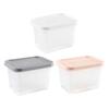 Fridge Organizer BPA-Free with Lid Draining Basket Clear Fruit Vegetable Storage Container Refrigerator Supply