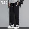 JEEP SPIRIT Мужские осенне-зимние свободные зауженные спортивные штаны