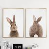 Bunny Rabbit Tail Canvas Painting Woodland Animal Posters and Prints Nursery Minimalist Pictures for Living Room Decor No Frame