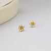 Small Fresh Flower Stud Earrings Women's Simple Niche Exquisite Girl Style Earrings Small Flower Earrings