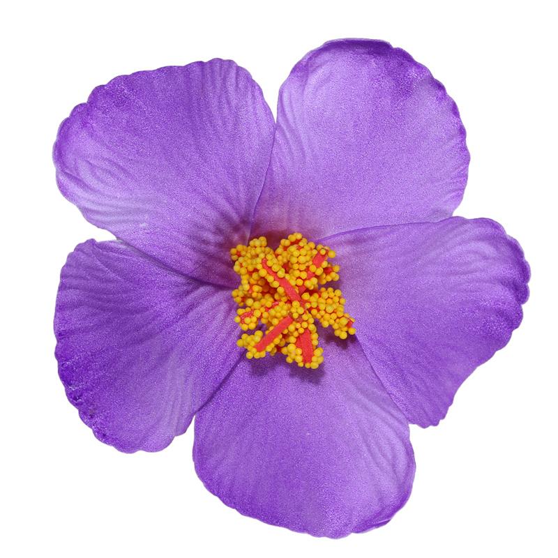 Гавайские красочные заколки для волос с цветами для женщин и девочек, романтические богемные заколки с челкой на бок, заколки для волос Bb, аксессуары для волос