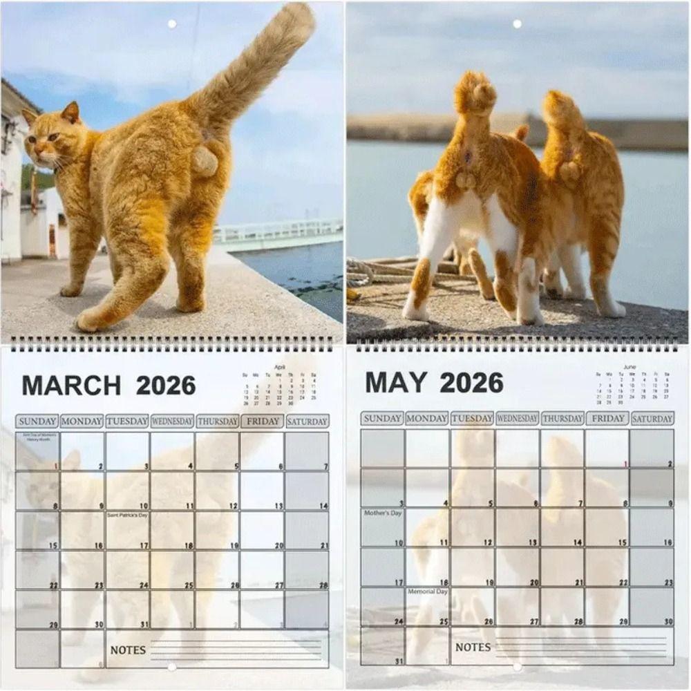 Gag Gift Funny Cat Calendar 12 Monthly Wall Calendar NEW Family Planner Office