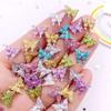 50pcs Resin Cute Colorful Mini Butterfly Flatback Rhinestones & Decorations