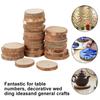 30/60Pcs Wood Slices With Tree Bark Natural Pine Round Unfinished Wood Slices Painting DIY Crafts for Wedding Christmas Decor