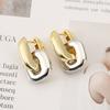 Copper Base Interlocking Earrings Oval Shape Double Loop Earrings  Fashion Accessories