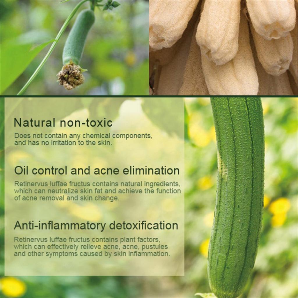 Loofah Sponge Large Exfoliating Shower Premium Natural EcoFriendly Egyptian Shower Loofah Sponge