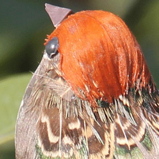 Воробей, 3D глаза, макет сцены, тонкое мастерство, свадебное уличное искусственное животное, птица, реквизит для дома, подделка