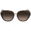 Женские солнцезащитные очки-бабочки с коричневым градиентом Hc8331 512013 55