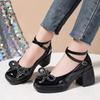 Fashion 2025 Ladies Shoes Buckle Strap Women's High Heels Fashion Shallow Office and Career New Butterfly-knot Plus Size Mary Jane Shoes