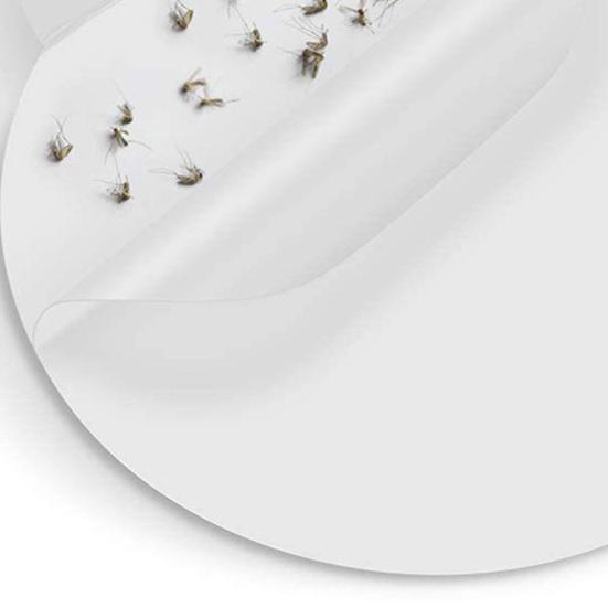 5 шт., клейкие доски от комаров, простая установка, универсальная домашняя ловушка для мух, лампа от комаров, круглые липкие листы, замена