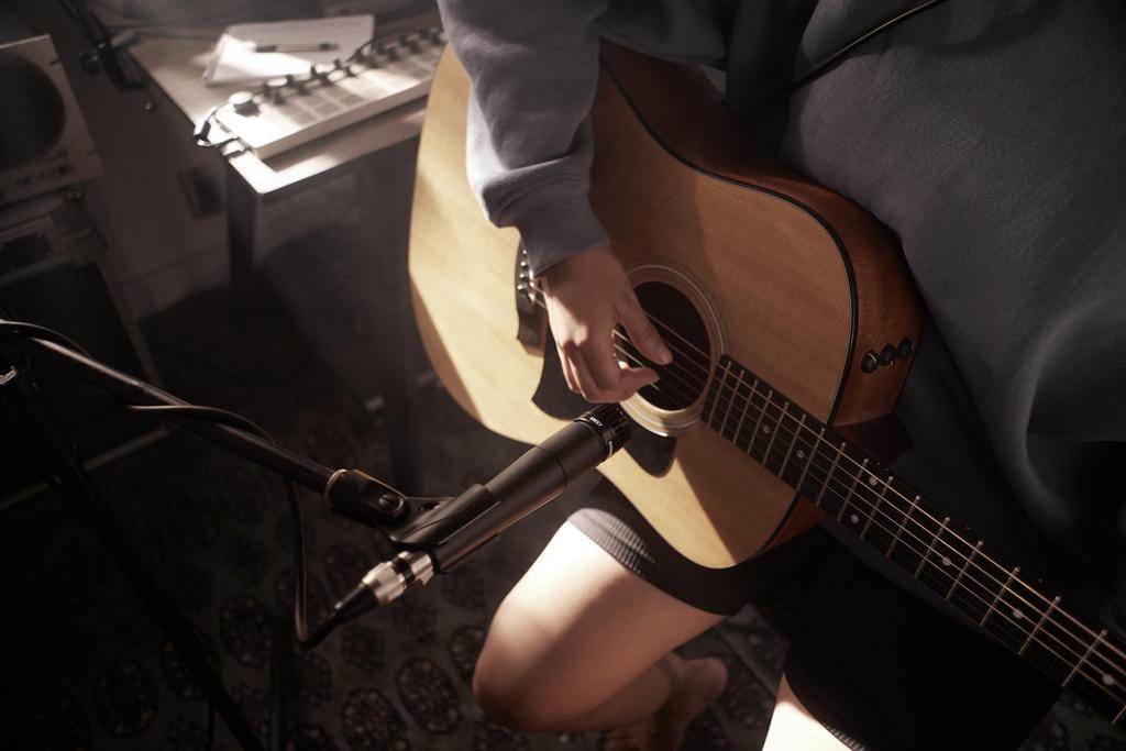 SHURE Динамический микрофон Черный SM57-LCE