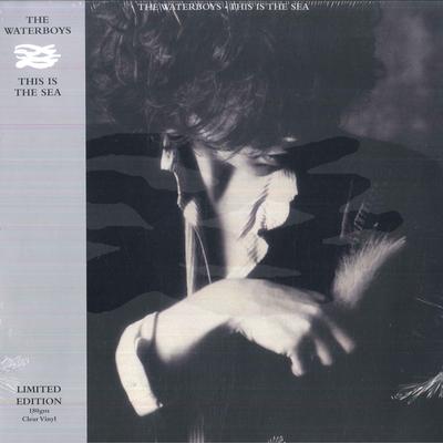 Виниловая пластинка WATERBOYS This Is The Sea ENCLX5 Chrysalis Catal 2024 Европа Рок