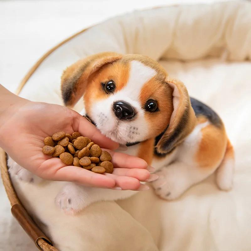 Новая плюшевая игрушка собака далматинец милый реалистичный щенок бигля пятнистый кукла домашний декор высокое качество детский подарок на день рождения