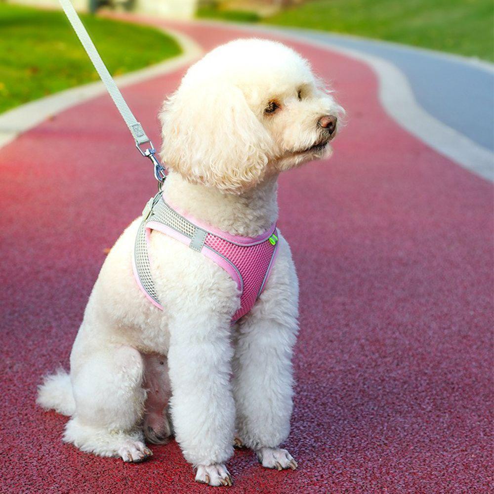 Удобный ошейник для чихуахуа, мопса, бульдога, нагрудный ремень, поводок для собаки, шлейка для питомца, светоотражающий