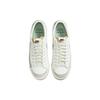 Nike Кроссовки Blazer 77 Low Premium Certified Fresh Обувь для скейтборда DO9799-100