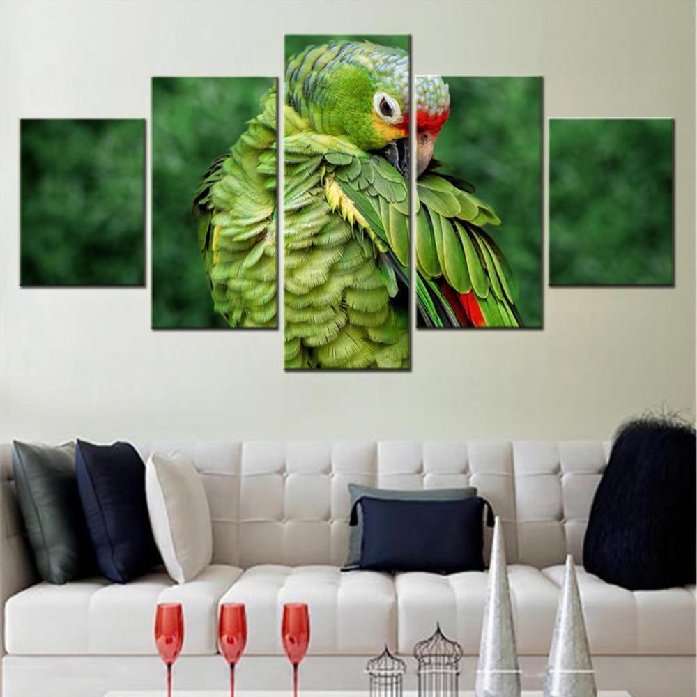 5 Pieces Canvas Wall Art Animals Parrot Photo Wallpaper Painting Living Room Picture Print Bedroom Mural Home Decoration Artwork