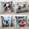 Pillowcase Bulldog  Modern Home Living Room Decoration