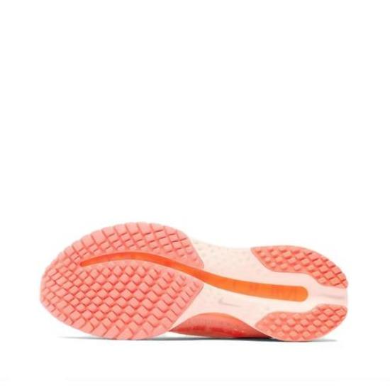 Nike Кроссовки Pegasus Premium для мужчин II6308-600