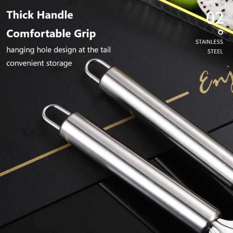 Citrus Lemon Zester Cheese Grater Cheese Grinder, Lemon, Ginger, Garlic, Nutmeg, Chocolate, Vegetables, Fruits Kitchen Tools