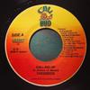 7inch Record CHEZIDEK - Calling Up  NONE Cali Bud 2006 Jamaica Reggae, Ska & Dub Used