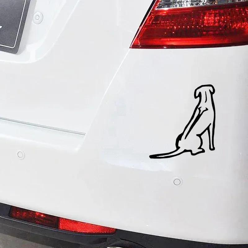 Rhodesian Ridgeback design car window bumper motorcycle helmet home decoration vinyl decal