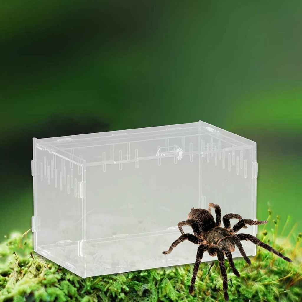 Reptile Breeding Box Animal Habitat Cage Clear Terrarium Enclosure for Geckos Young