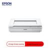 EPSON DS-50000 A3 Профессиональный планшетный сканер CN вилка (адаптер в комплекте)