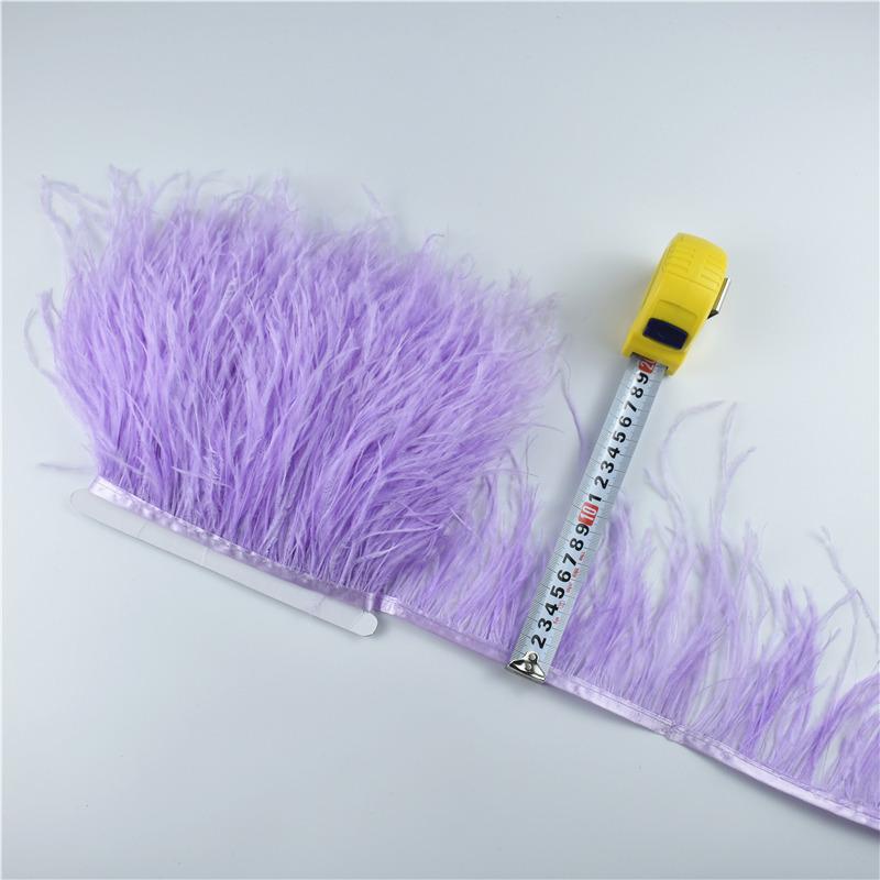 Feather1M 5M 10Meters Ostrich Feather Skirt Fringe Trims 10-15CM Ostrich Feather Ribbon Feathers for Crafts Wedding Feathers Decoration