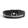 LED Dog Leash (L/Rainbow)