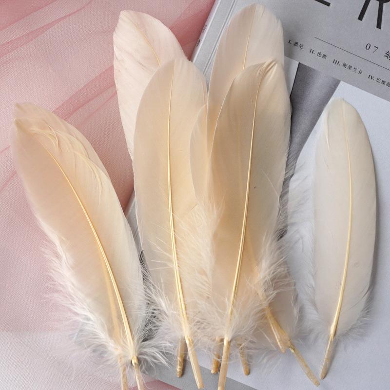 White Feathers Goose Hair ,Hard Floating Dream Net Decorative Wings ,Sun Flower Wall Decoration Kindergarten Handmade Art Class Materials