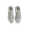 Nike Air Max Plus Light Silver Женские кроссовки Grey Chrome Light-Bone FV8480-002