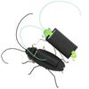 Cockroach Simulation Insect Toy Grasshopper Science Education Toy Funny Puzzle Toy  Children