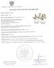 925 Unicorn Earrings Unicorn Box Colorful Pearl