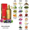MY CHARM Eau de parfum for Women & The Millenium серия из 10 видов духов на ваш выбор