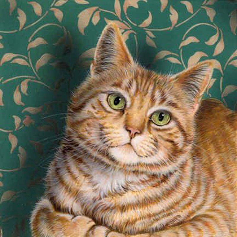 DIY 5D алмазная живопись кошка мозаика полная круглая дрель Алмазная вышивка цветок вышивка крестиком горный хрусталь животное настенное искусство домашний декор