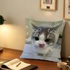 Kawaii Cat fun   Cushion Cover Pillowcase Upholstery Sofa Throw Pillow Home Decor Pillowcas