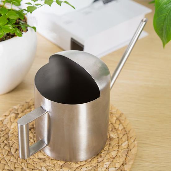 10 унций/300 мл мини-лейка из нержавеющей стали с длинным носиком для опрыскивания горшечных растений, маленькая лейка для комнатных уличных цветов, суккулентов, садовая лейка