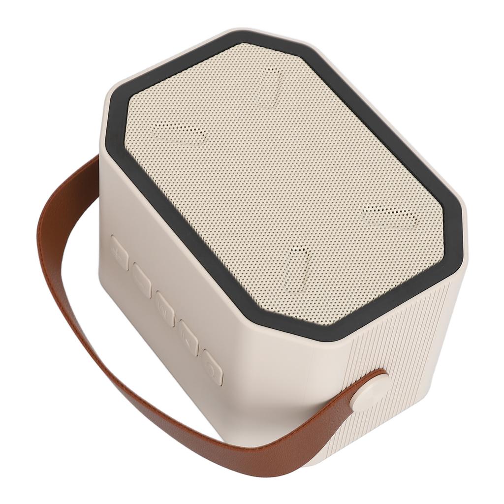 Караоке-машина, белая колонка для караоке с 2 беспроводными микрофонами, ручная ослепительная подсветка для караоке