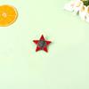 Five-pointed Star Badge Brooch Clothing Accessories Metal