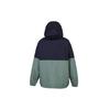 THE NORTH FACE Windbreaker Jackets Men's Peacock Green Hooded Moderate NF0A5AZM-2U4